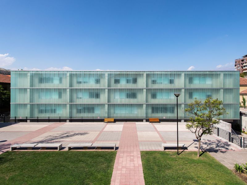 Universidad San Sebastián, Los Leones